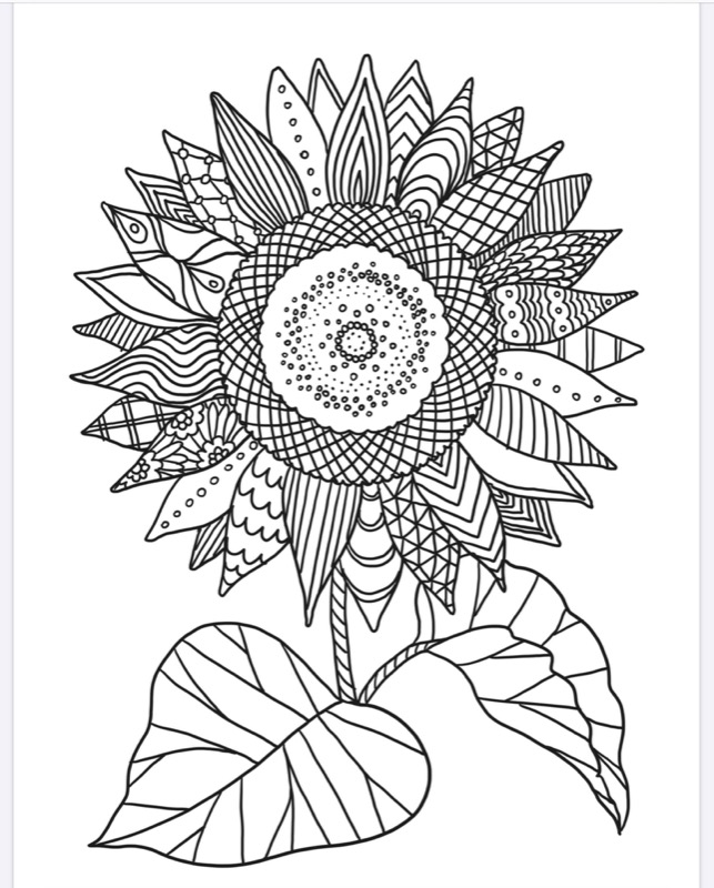 summer-holiday-mindfulness-colouring